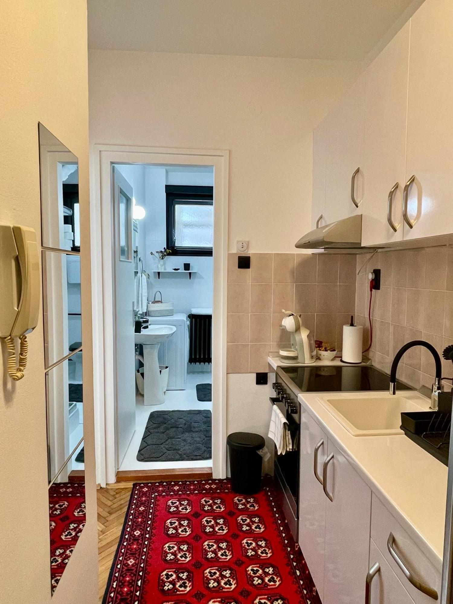 Apartment Mirochka Beograd Eksteriør billede